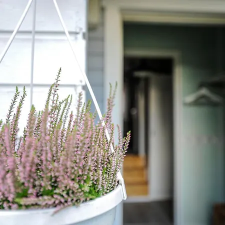 Wanha Froeoekynae Wanhassa Raahessa Apartment Raahe