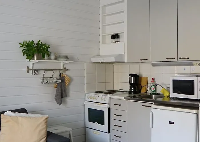 Wanha Froeoekynae Wanhassa Raahessa Apartmán *